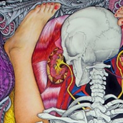 Anatomy-Sketch-nº2-Santiago-Almazan